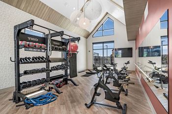 Gym equipment's